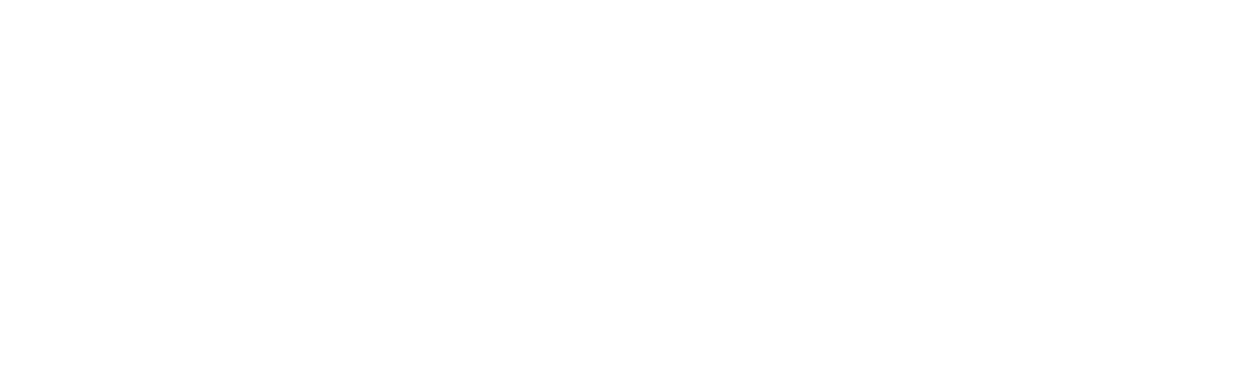 Denali Vantage Group